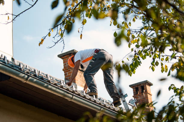 Best New Roof Installation  in Steger, IL
