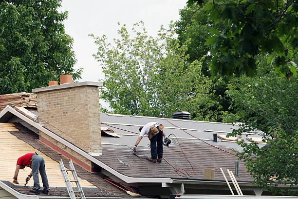 Best Roof Inspection Near Me  in Steger, IL