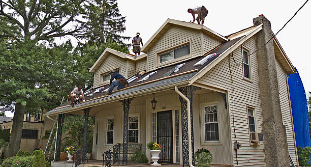 Best Shingle Roofing Installation  in Steger, IL