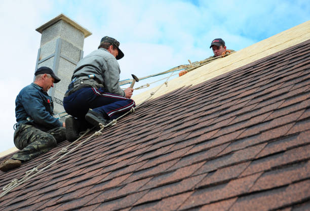 Roof Gutter Cleaning in Steger, IL